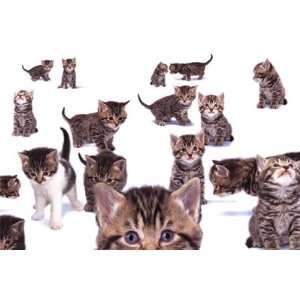  KITTENS KITTY CATS COLLAGE CUTE PETS 24x36 POSTER