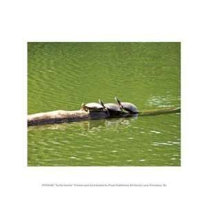  Liebermans PPFPVP0548 Turtle Family 10.00 x 8.00 Poster 