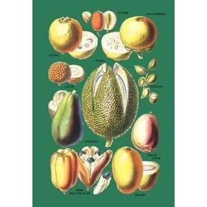  Vintage Art Fruits and Nuts #1   08648 3