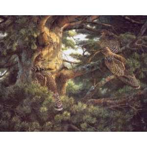  Persis Clayton Weirs   Sunlit Pine   Ruffed Grouse