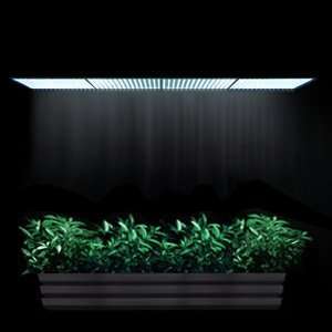 Easy Handle 900 High Power Ultrathin White LED Plant Grass Herb Flower 