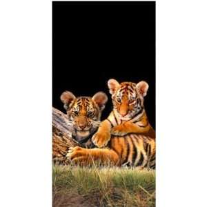  Bengal Tiger Cubs 