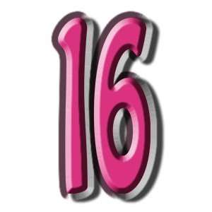  Number 16   Birthday Party Giant Cardboard Cutout 