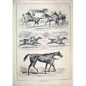  1884 Horse Racing Goodwood Cup St Simon Friday Print