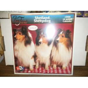   Shetland Sheepdog  Best Friends 1999 16mth Calendar 