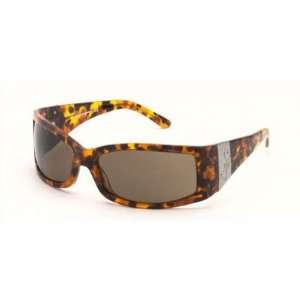  D G 3001 Tortoise / Brown Sunglasses 