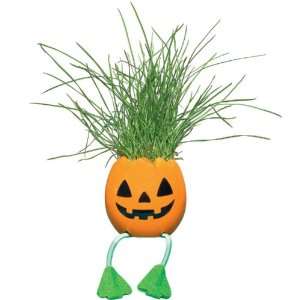  Halloween Nyokki Grass Pet   Pumpkin