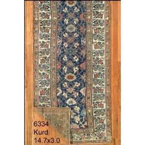  3x14 Hand Knotted Kurd Kurdistan Rug   30x147