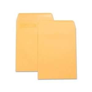  Business Source 42123 Catalog Envelopes,w/Adhesive Strip 