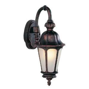  Trans Globe Lighting PL 4271 BK Black Outdoor Wall Light 