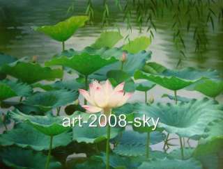 Original Oil painting art Flowers Lotus on canvas 36x48  