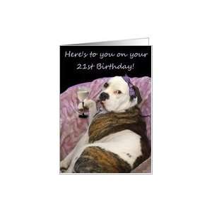    Happy 21st Birthday Old English Bulldogge Card Toys & Games