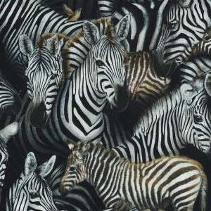 OUT OF AFRICA ZEBRAS ALLOVER~ Cotton Quilt Fabric  