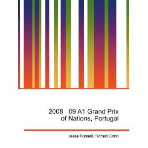  2008 09 A1 Grand Prix of Nations, Portugal Ronald Cohn 