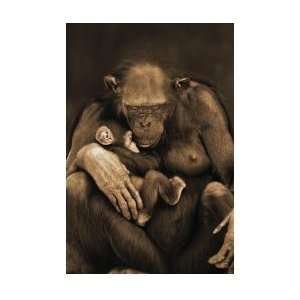    Motherhood   Monkeys Poster   35.5x23.8 inches