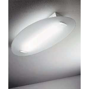  Skate 6981 Ceiling Light