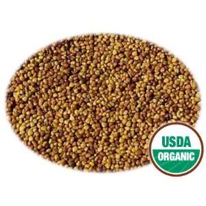  10 LBS Organic Clover Seeds