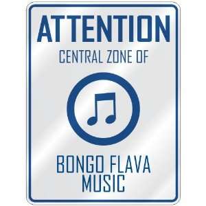  ATTENTION  CENTRAL ZONE OF BONGO FLAVA  PARKING SIGN 