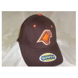  Bowling Green Falcons Youth Team Color One Fit Hat Sports 