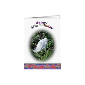  97th Birthday Card with Snowy Egret in Water Card Toys 