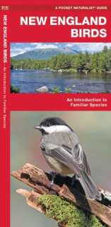   New Hampshire Birds by James Kavanagh, Waterford 