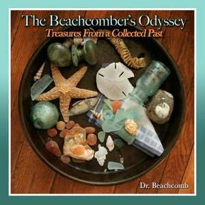   A Beachcombers Odyssey Vol 1 Treasures from a 