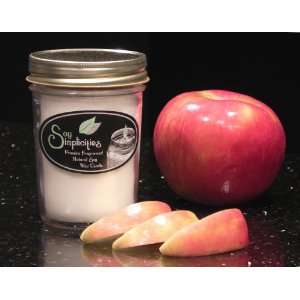  Soy Simplicities   Apple and Spice Soy Wax Candle   in an 