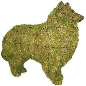  Collie Mossed Topiary Frame