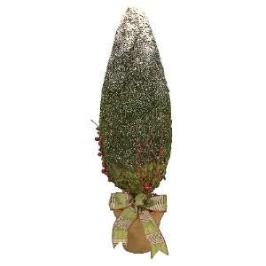  Arteflorum Mossed Cone Topiary With Red Berries Large 
