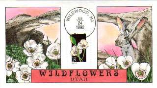 COLLINS HAND PAINTED 2667 Wildflower Utah Rabbit  