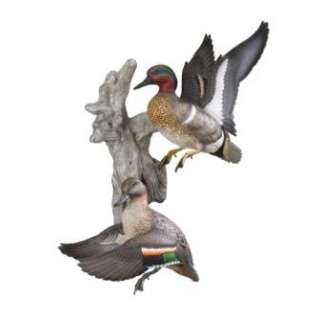 Busting Out Green winged Teal Wall Mount   Free Ship  