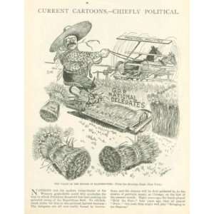  1904 American Political Cartoons Roosevelt Uncle Sam 