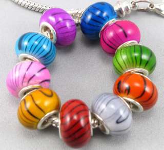   Charm Silver Core Acrylic Beads Fit European Bracelets ☆GM30  