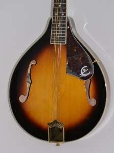 Epiphone MM 30S Acoustic Mandolin Luthier Project  