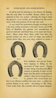 Horse Shoes And Horse Shoeing (1869)