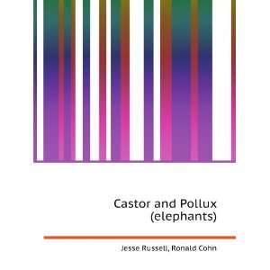  Castor and Pollux (elephants) Ronald Cohn Jesse Russell 
