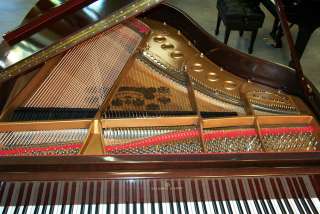 Steinway M Chippendale Baby Grand Piano Outlet  