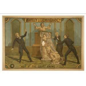  Historic Theater Poster (M), Whiteleys Original Hidden 