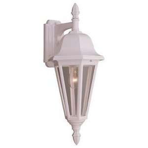  Outdoor Wall Sconces Sea Gull Lighting 8825