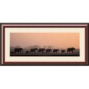  Loxodonta Africana (African Bush Elephant) Framed Art 