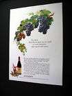 Almaden Pinot Noir Wine grapes bottle 1971 print Ad
