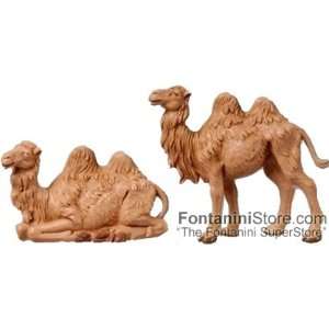  3.5 Inch Scale Camels