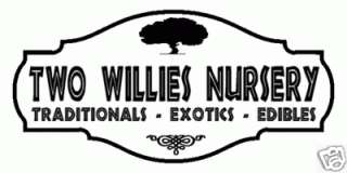 Visit My  Store Two Willies Nursery