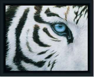 White Eye Siberian Tiger Wildlife Decor Print Framed  
