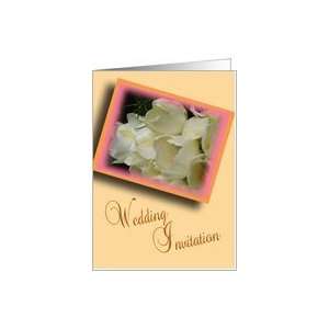 Wedding Invitation   white tulips Card Health & Personal 
