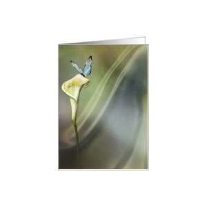  Cream Calla Lily and Butterfly Card Health & Personal 
