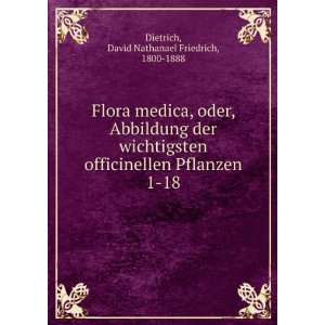   Pflanzen. 1 18 David Nathanael Friedrich, 1800 1888 Dietrich Books