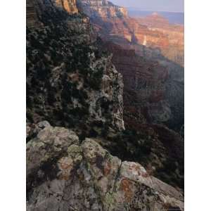  View Off of the North Rim of the Grand Canyon Stretched 