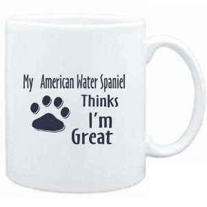   MY American Water Spaniel THINKS I AM GREAT  Dogs