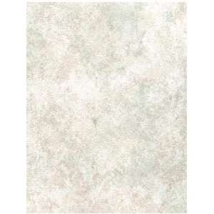 Wallpaper Patton Wallcovering Sponge Painted textures 